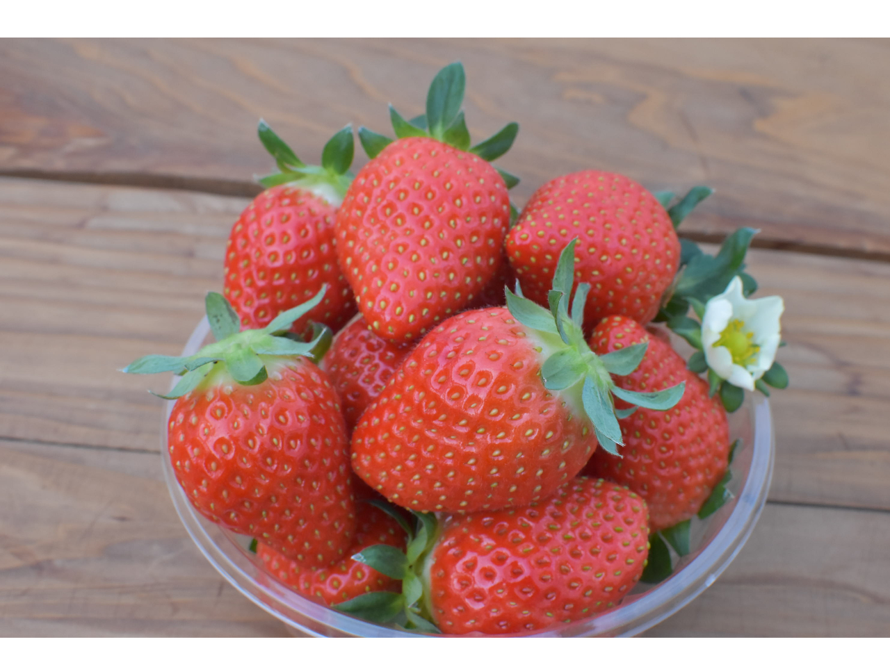 ���y�Y�ɂ������ł��傤���H