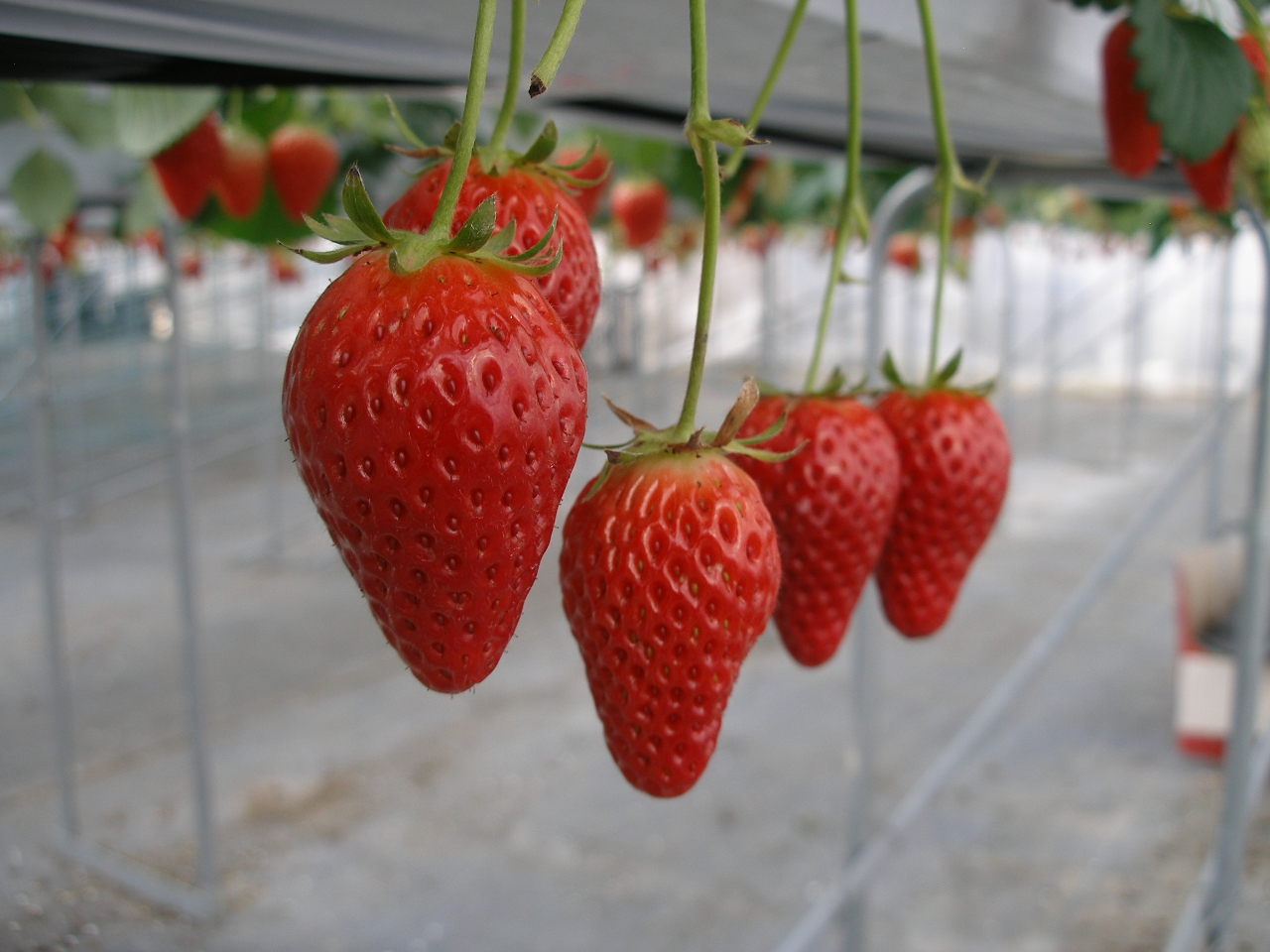 ���n�������I�I�I