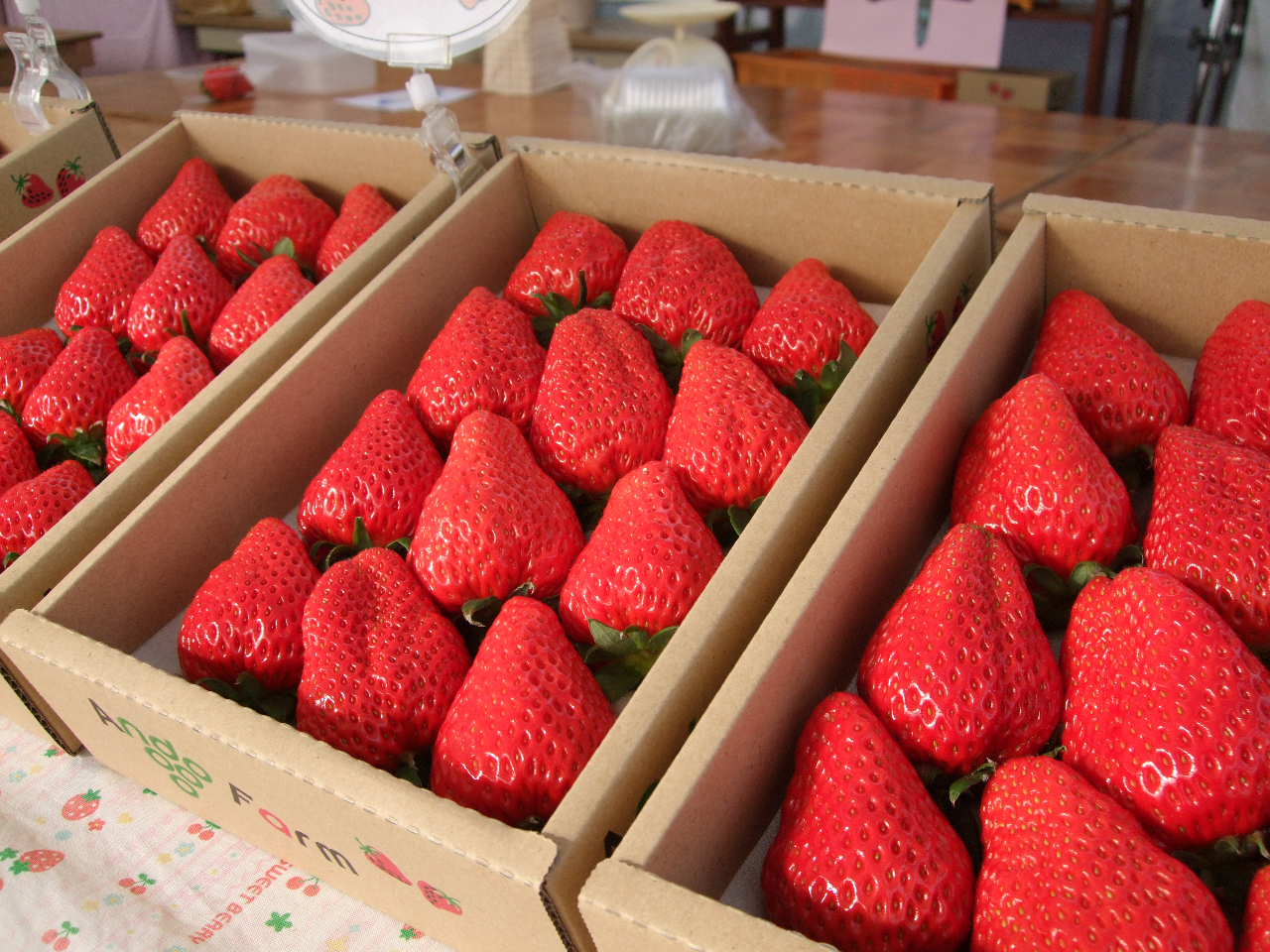 �������̓p�b�N�Ɣ��l�߂Ŕ̔����Ă��܂��B