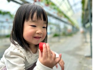 こだわりの美味しいいちごをどうぞ!