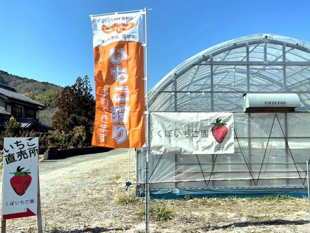 勢和多気ICからすぐ。くぼいちご園へどうぞ!