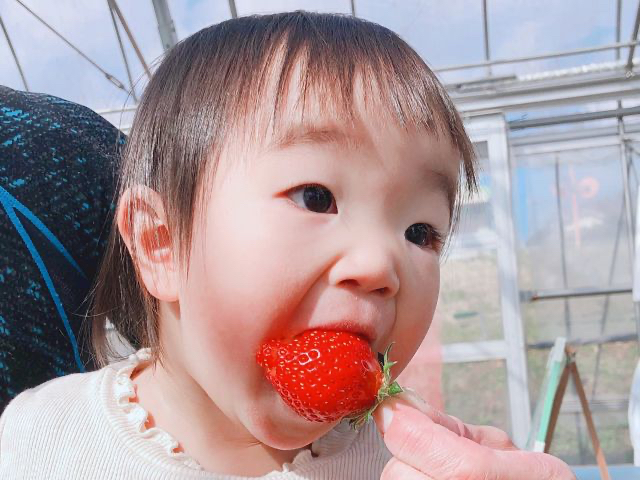 `RzCbvN[ȂǃgbsOނ͎ݎRłI@gł낢ȃAWły݂܂