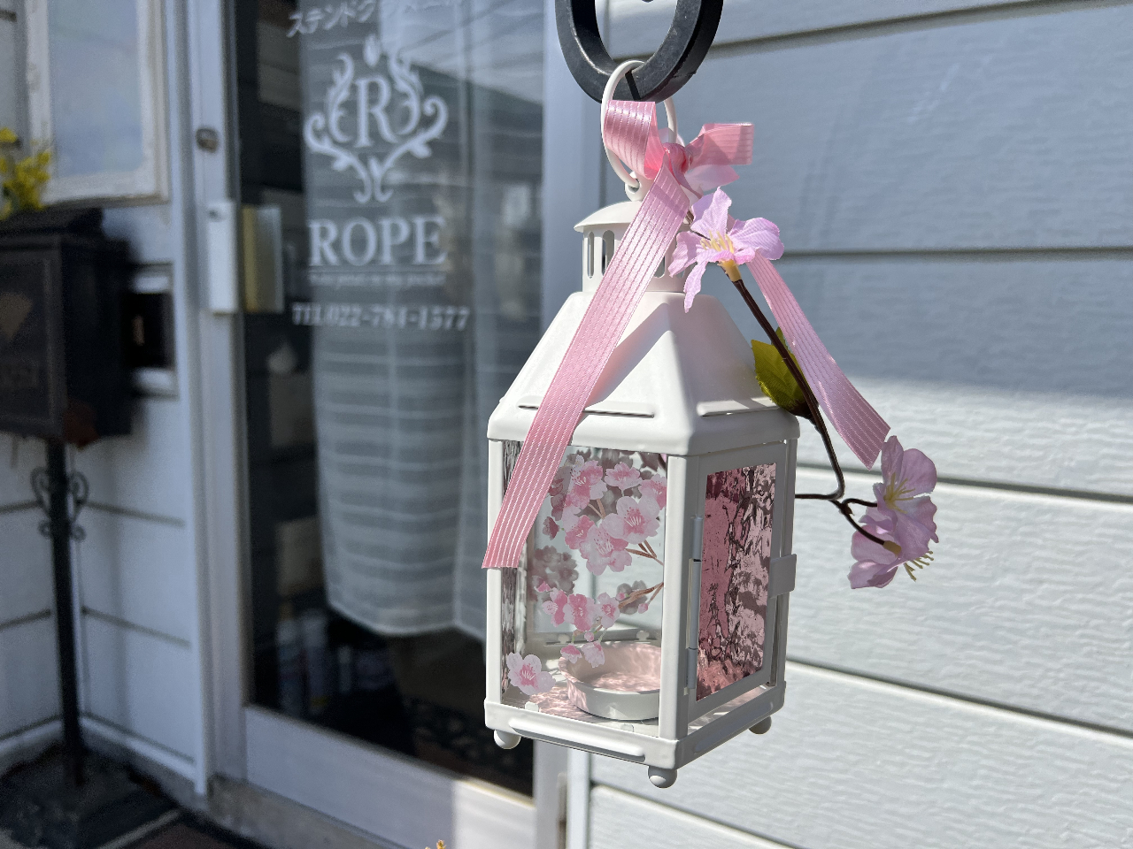 ���ɂ̓L�����h�����C�g������܂�