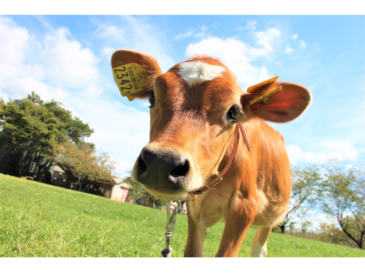 成田市の観光スポットランキングtop10 じゃらんnet