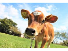 成田市の観光スポットランキングtop10 じゃらんnet 成田市の観光スポットランキングtop10 じゃらんnet