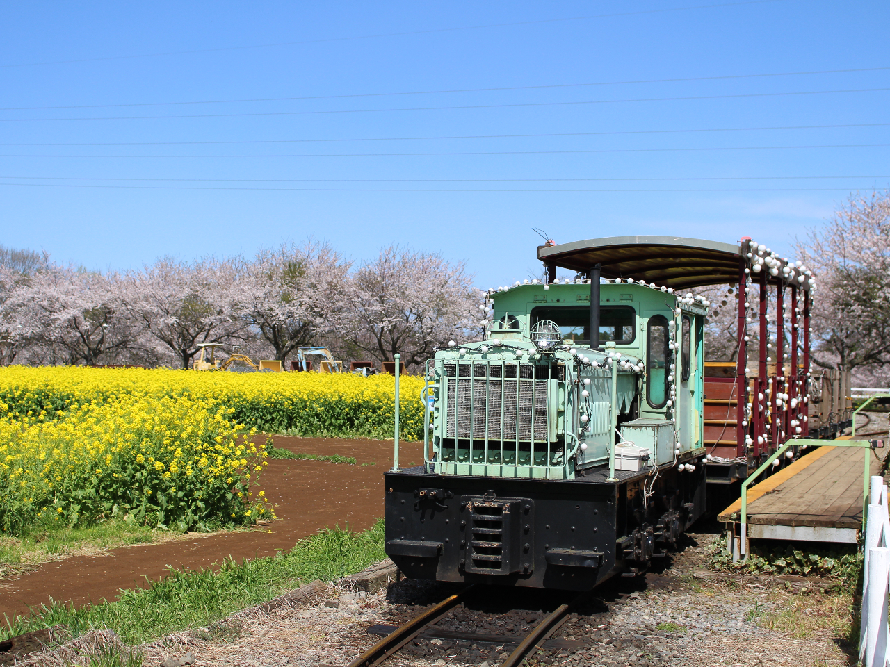 gbRԁߖq̂ԔgbRԂ́Ǎ̒YzȂǂŊ撣đĂ{̃gbRԁBNɐA{SLI ԎԖ5