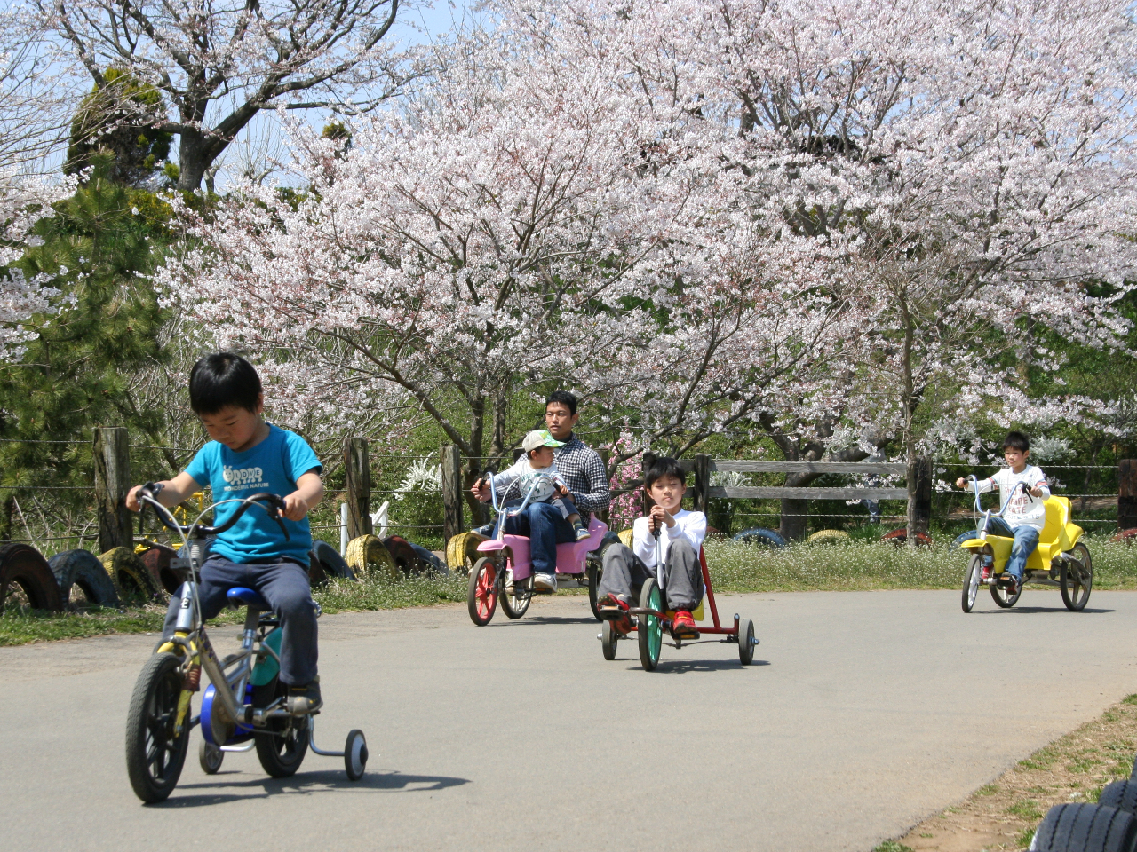 t@V[TCNό`]Ԃy_J[gɏăR[XB撣đOɐiI