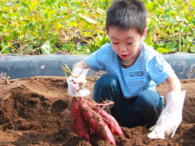 n̏HIzNzÑTc}C̎ɒ͂߁ǐʓrj