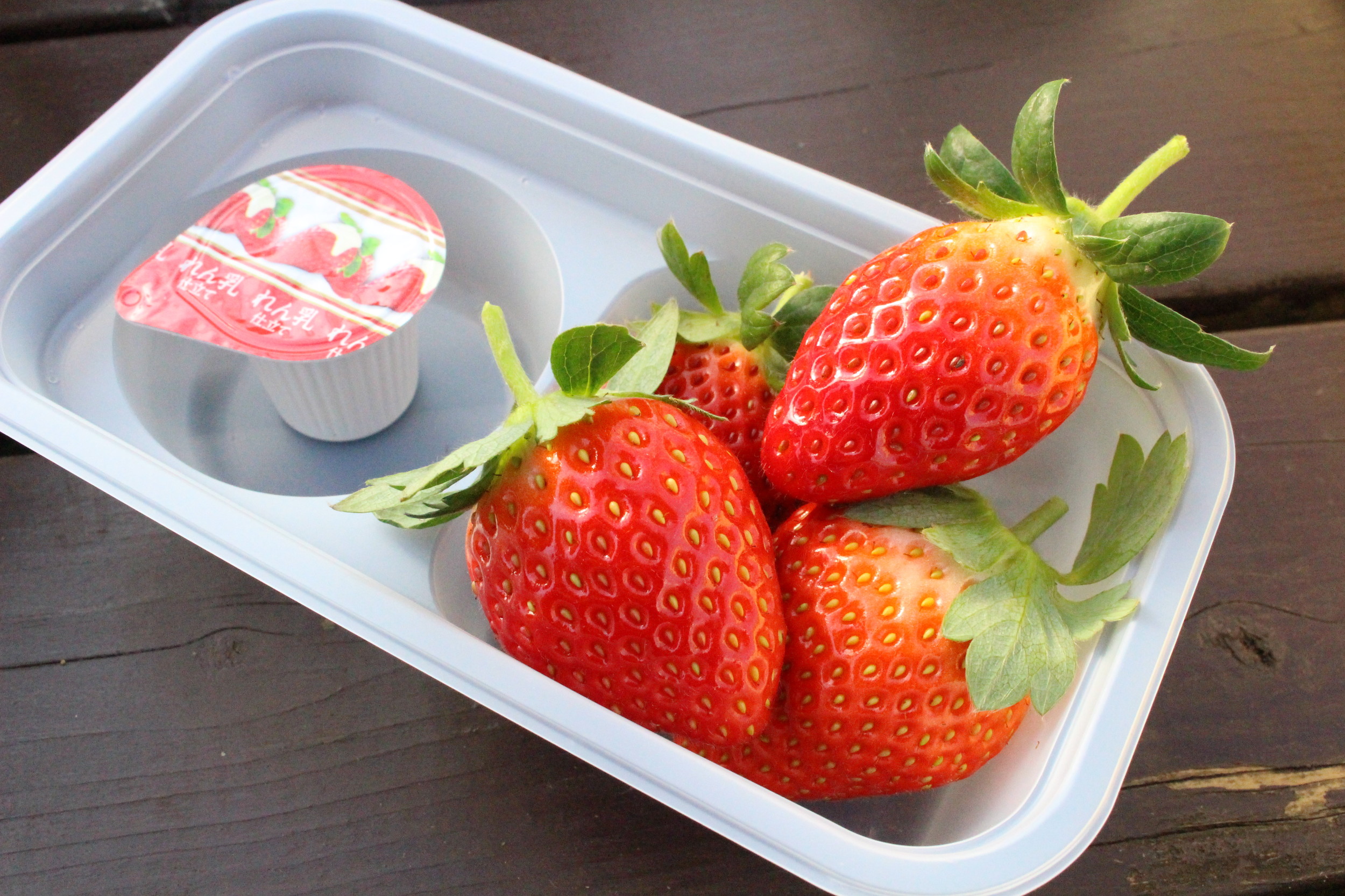 ���������n�����܂��̂ł��D�݂Ł�