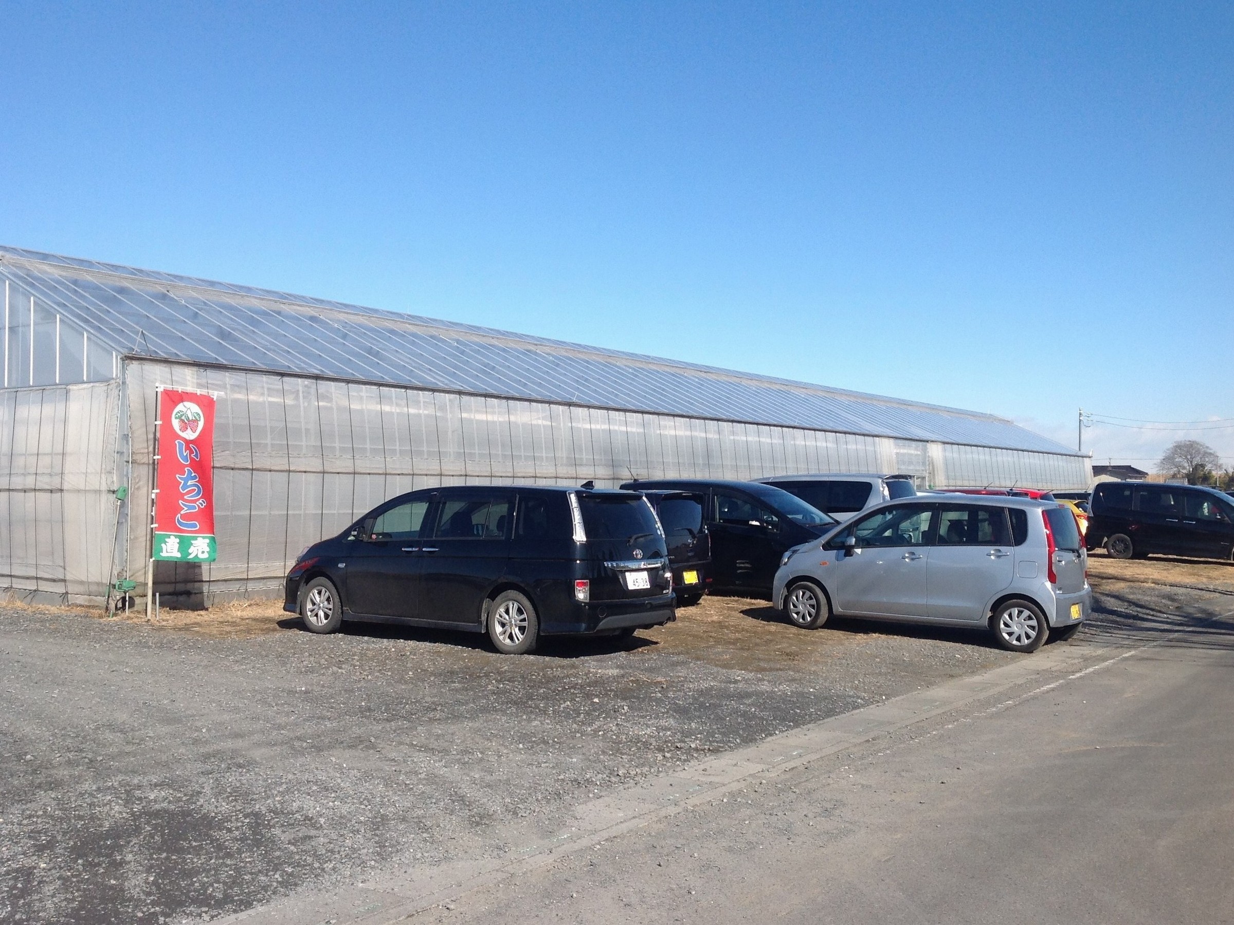 希少価値の高い ロイヤルクイーン を含む約5種類のいちごを食べ比べ いちご狩り 30分 ストロベリーフィールズ ナカヤマ じゃらん遊び体験 希少価値の高い ロイヤルクイーン を含む約5種類のいちごを食べ比べ いちご狩り 30分 ストロベリーフィールズ ナカヤマ じゃらん遊び体験