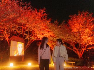 光と音に彩られた全長1.2kmの夜の森を歩き、無限城での戦いに向けて、 これまでの鬼殺隊と鬼の戦いを振り返り追体験できる「ナイトウォーク 無限城への軌跡」