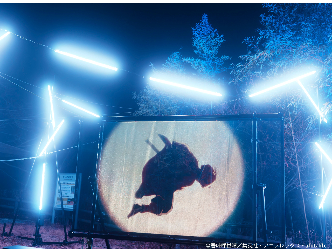 光と音に彩られたナイトウォーク!