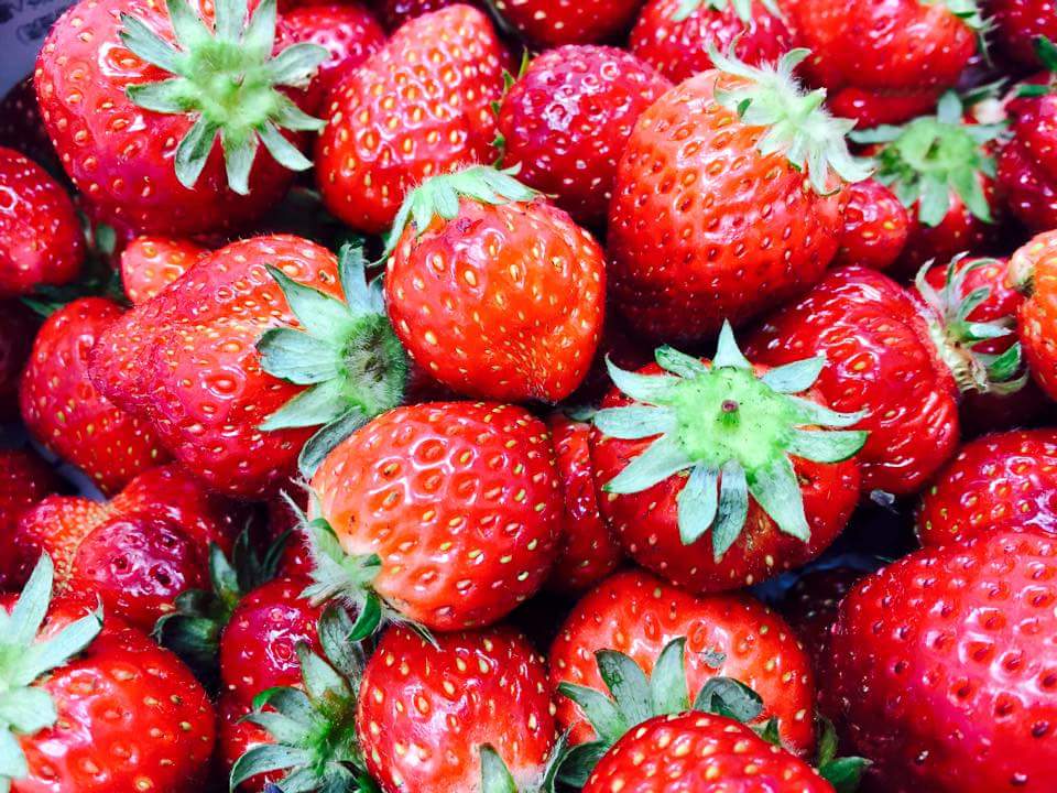 茨城県つくば市にあります田村農園です♪コロナ対策を実施し皆様のご来園を心よりお待ちしております!お気をつけてお越しください!