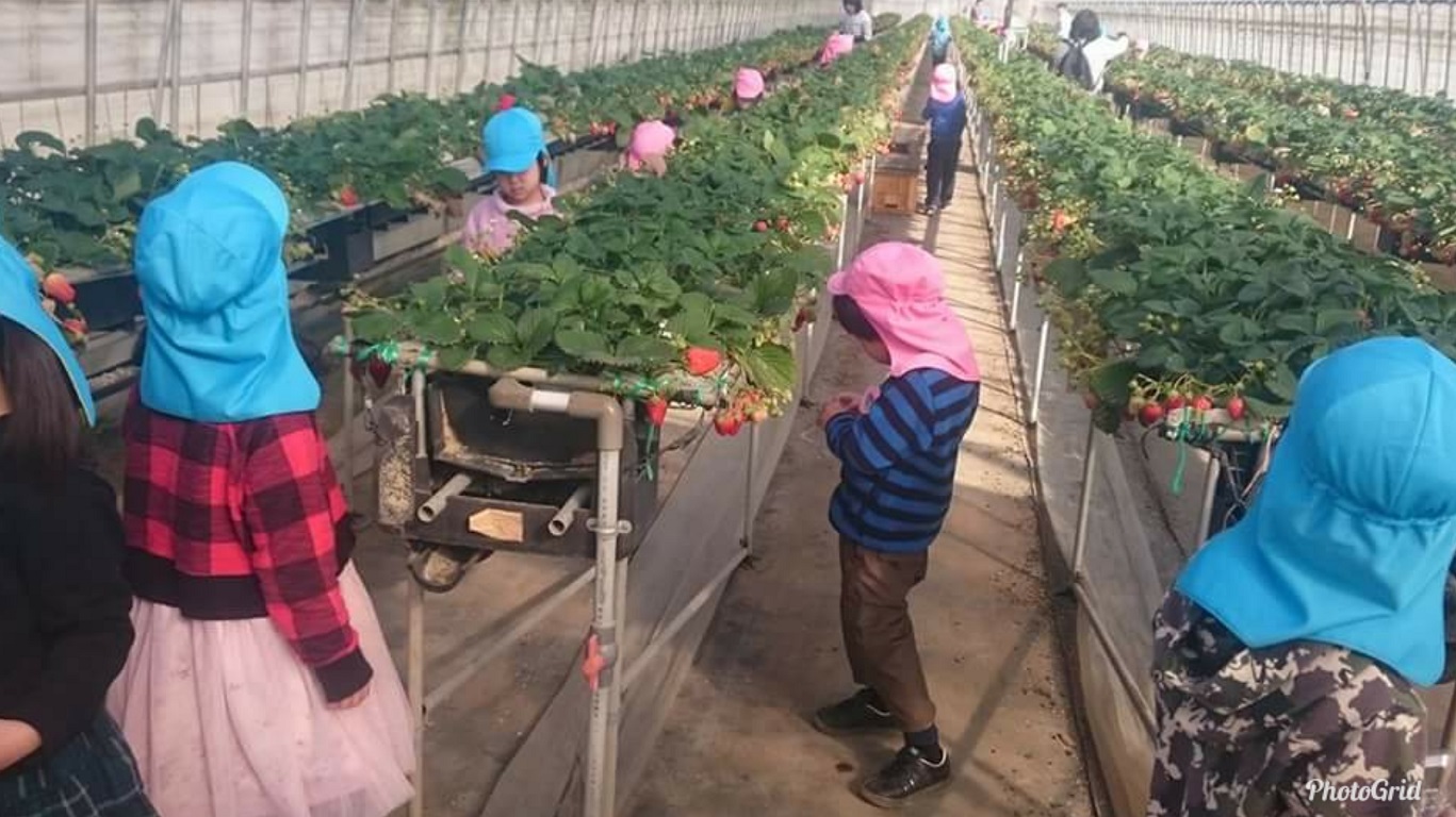 幼稚園のお子さんにも楽しんでもらってます!