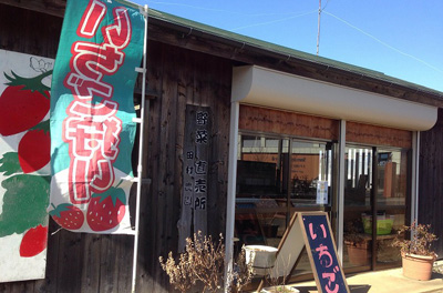 売店では採れたて新鮮ないちごをお買い求めいただけます