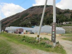 伊予大洲駅周辺のいちご狩りランキングtop5 じゃらんnet 伊予大洲駅周辺のいちご狩りランキングtop5 じゃらんnet