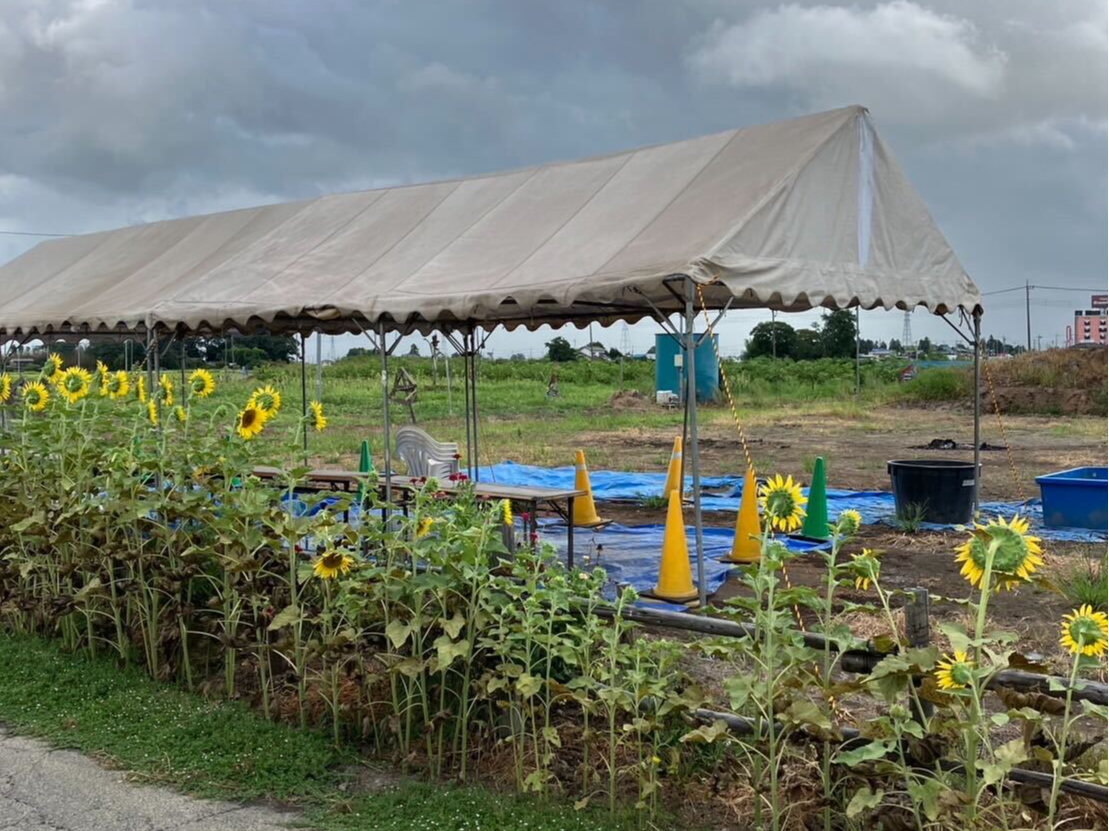 備え付けのテントもございますので休憩もできます。