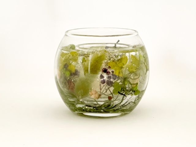 ジェルランタン