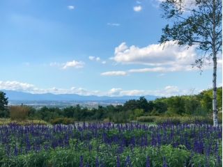 十勝ヒルズ スカイミラー