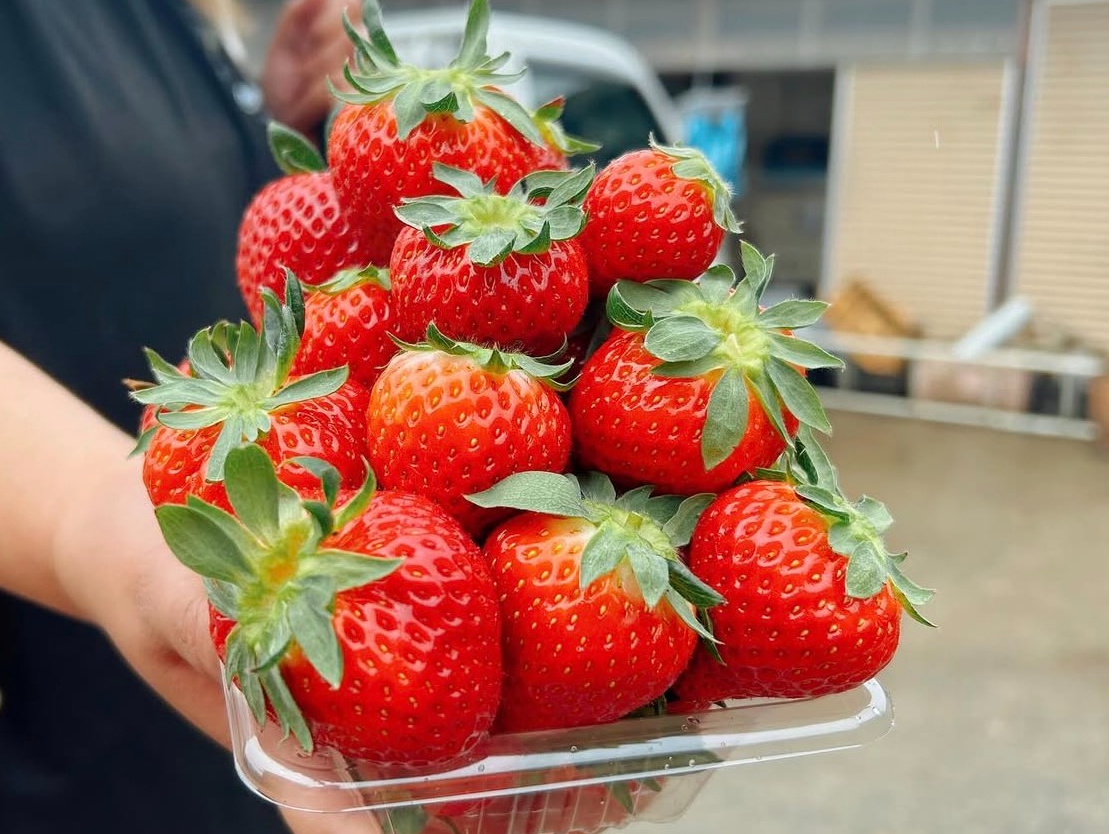 ���y�Y�p�b�N�̗�ł��I