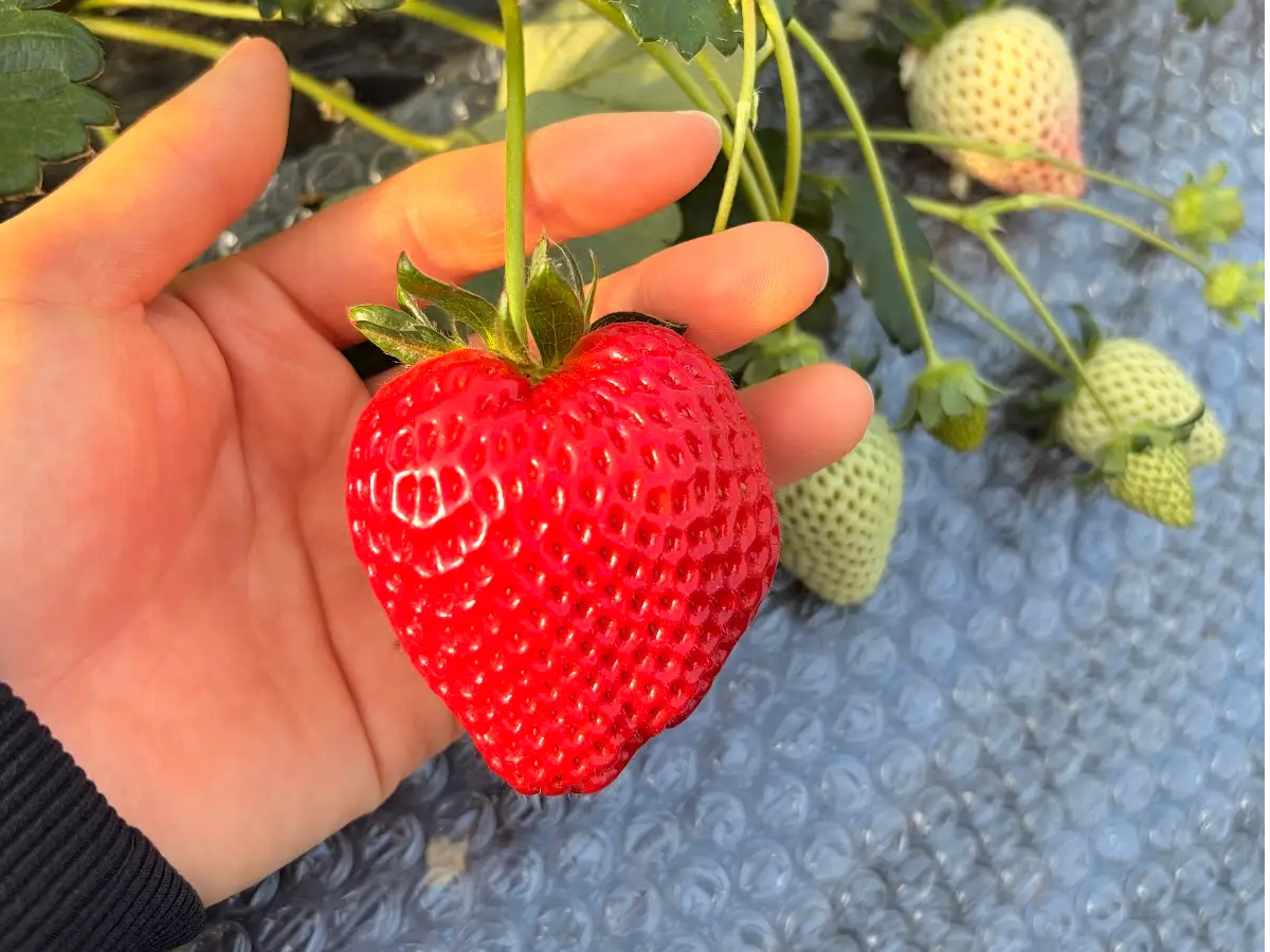 ���܂��ł��I�I