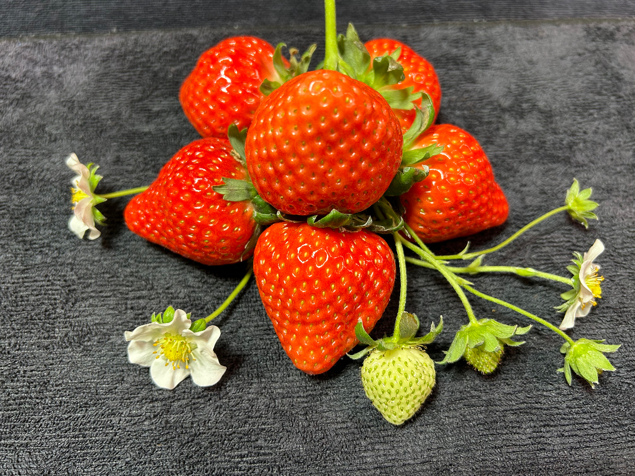 �u���݂̂�v�̃A�����W�����g�@����l�̔M������]�������܂��I�@�����߂ɐH�ׂɗ��ĂˁI