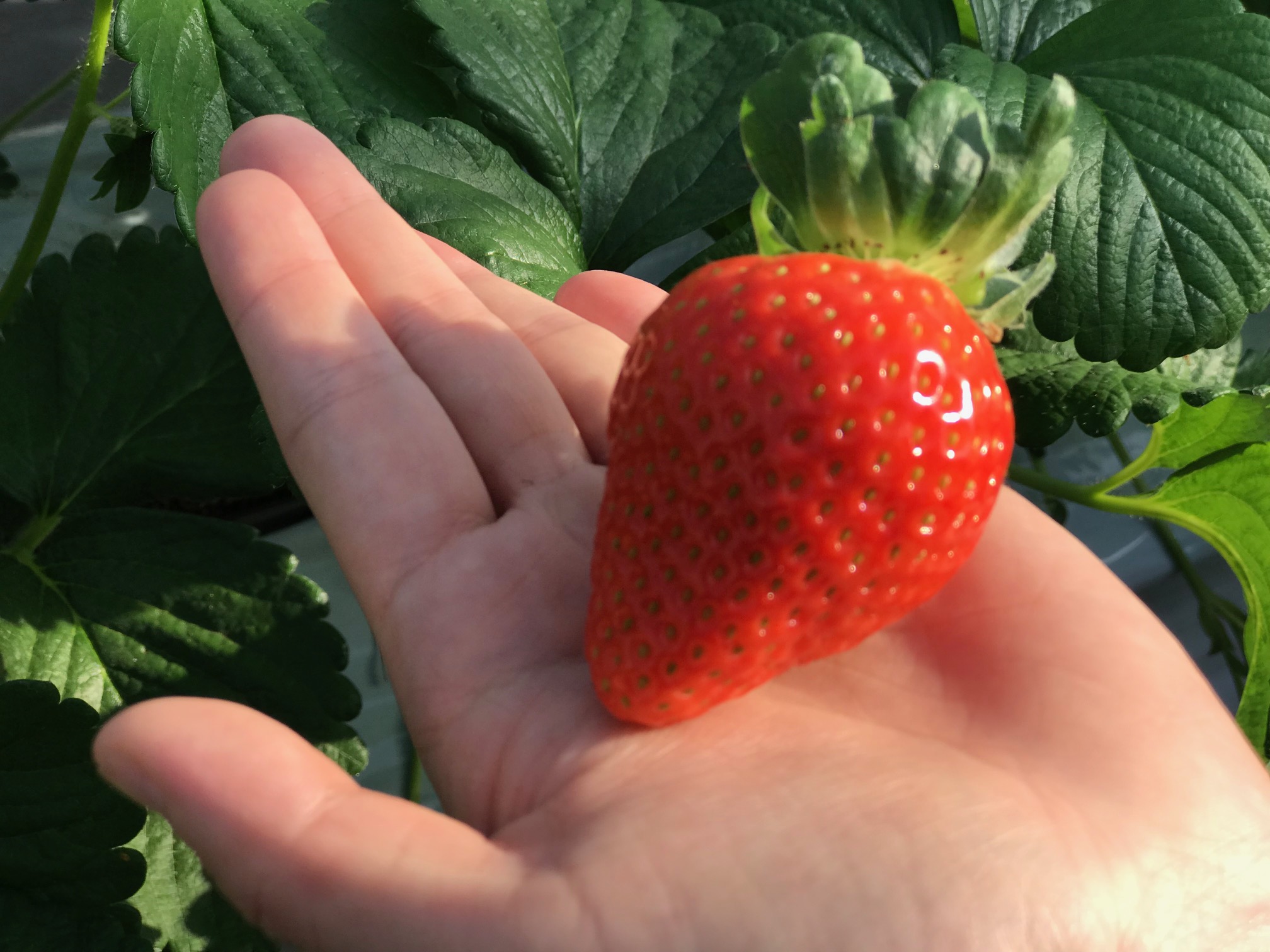 �u��ڂ��v�l�����̂��������I