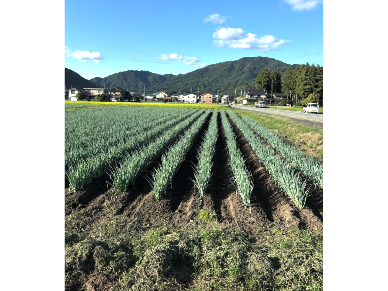 ��Â˂��̕ޏ�ɂȂ�܂��I