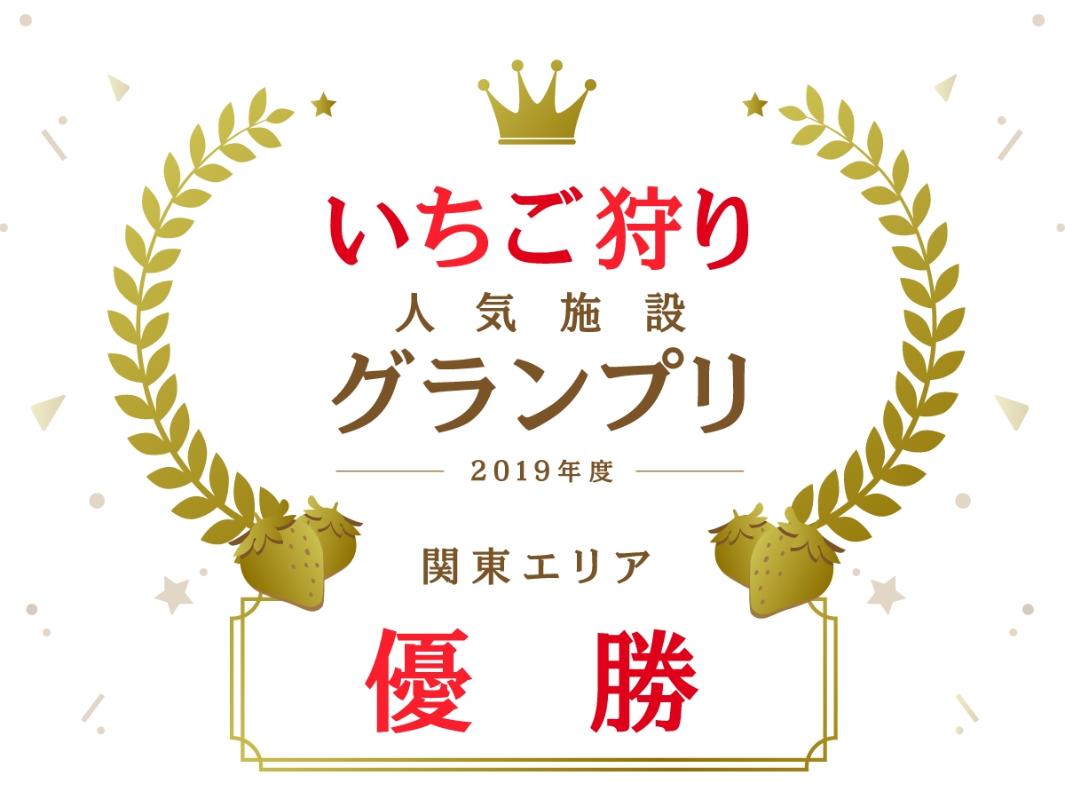 2019Nx@񂢂lC{݃Ov@֓GAD܂Ă܂I