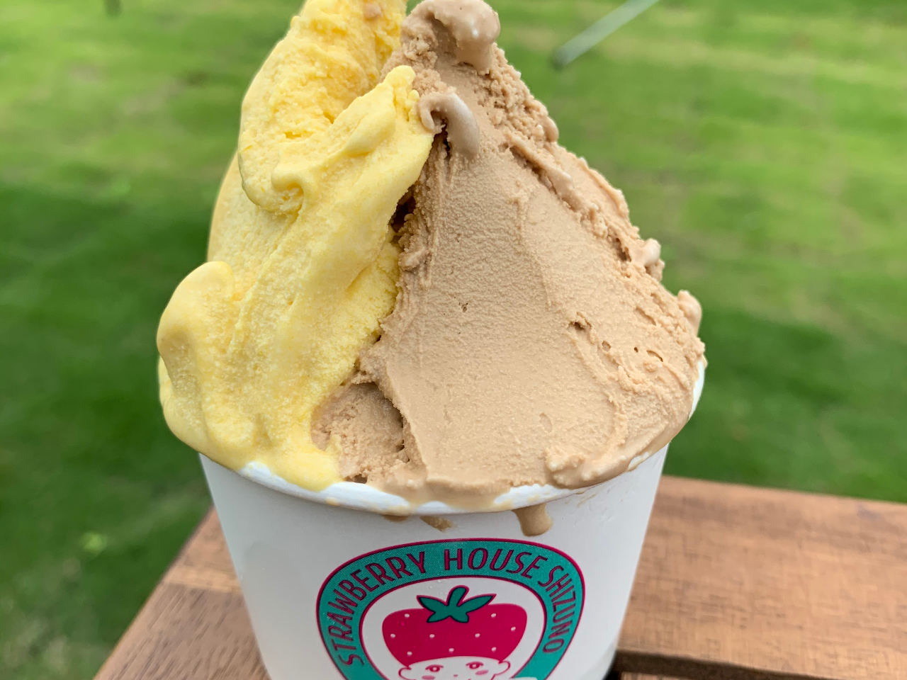 WF[g_u450~VO350~ƍH[Ŏ肵Ă܂B