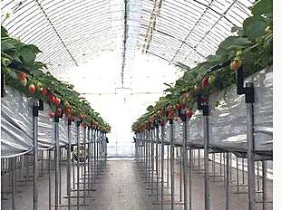 nʂ痣ꂩ炾ɗDȔ_łB