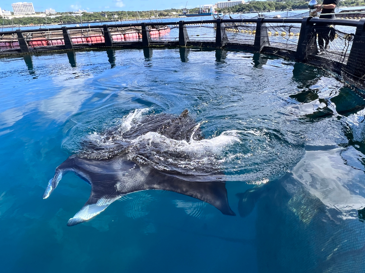 }^𒷊炵Ă鐶ł͂Iv̎X^bt}^̐Ԃ⎔̔閧`܂