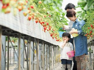 駅から徒歩で行けるハウス♪