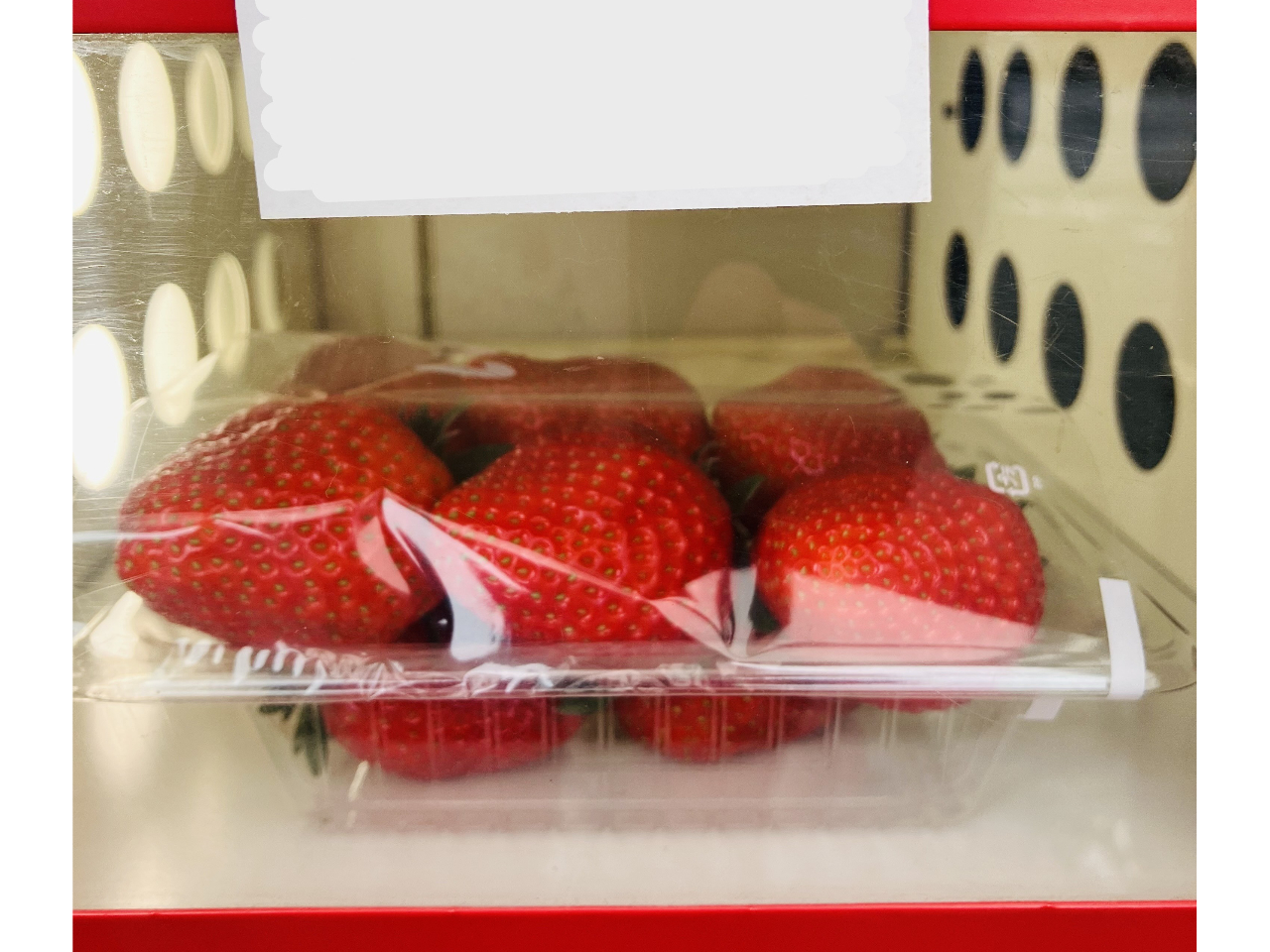 �������̎����̔��@�ɂāA���̂ꂢ�����̔̔����s���Ă��܂��B(���Ɍ��肪�������܂��B)