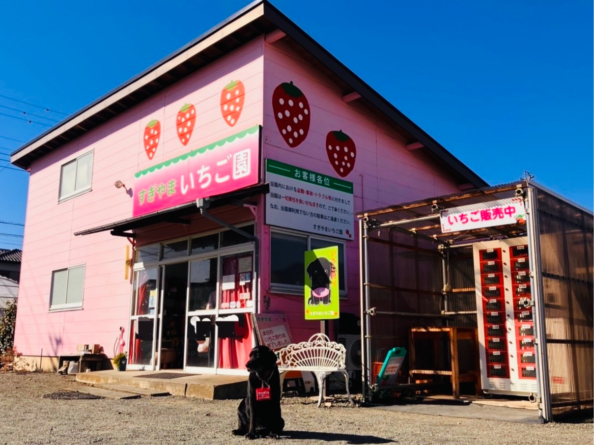 �u������܂��������v��t�����E�������̎����̔��@