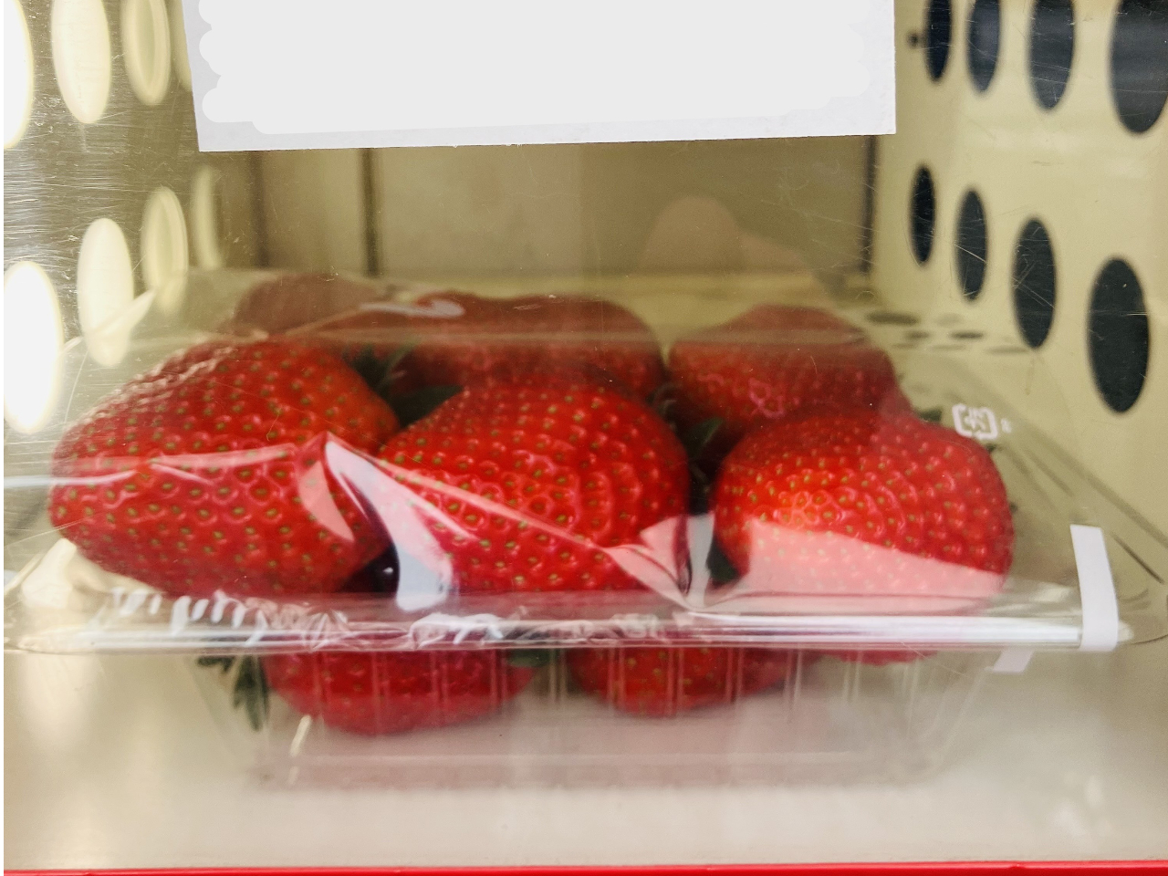 �������̎��̋@�Œ��̂ꂢ������̔����Ă���܂��B�i���Ɍ��肪�������܂��B�j