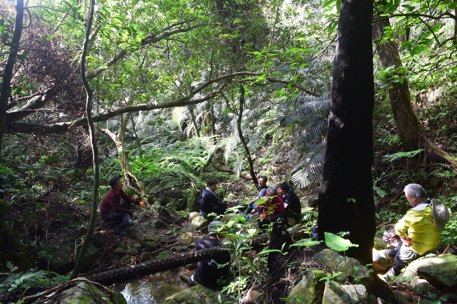 �L���Ȏ��R���D��Ȃ��Î��