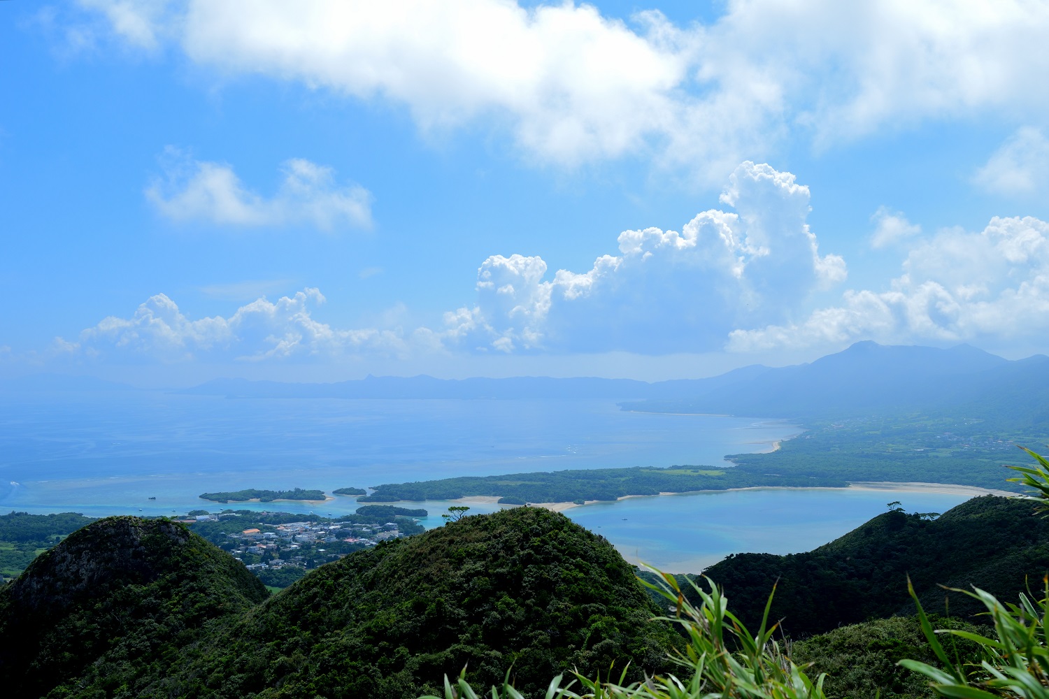 �L���Ȏ��R���D��Ȃ��Î��