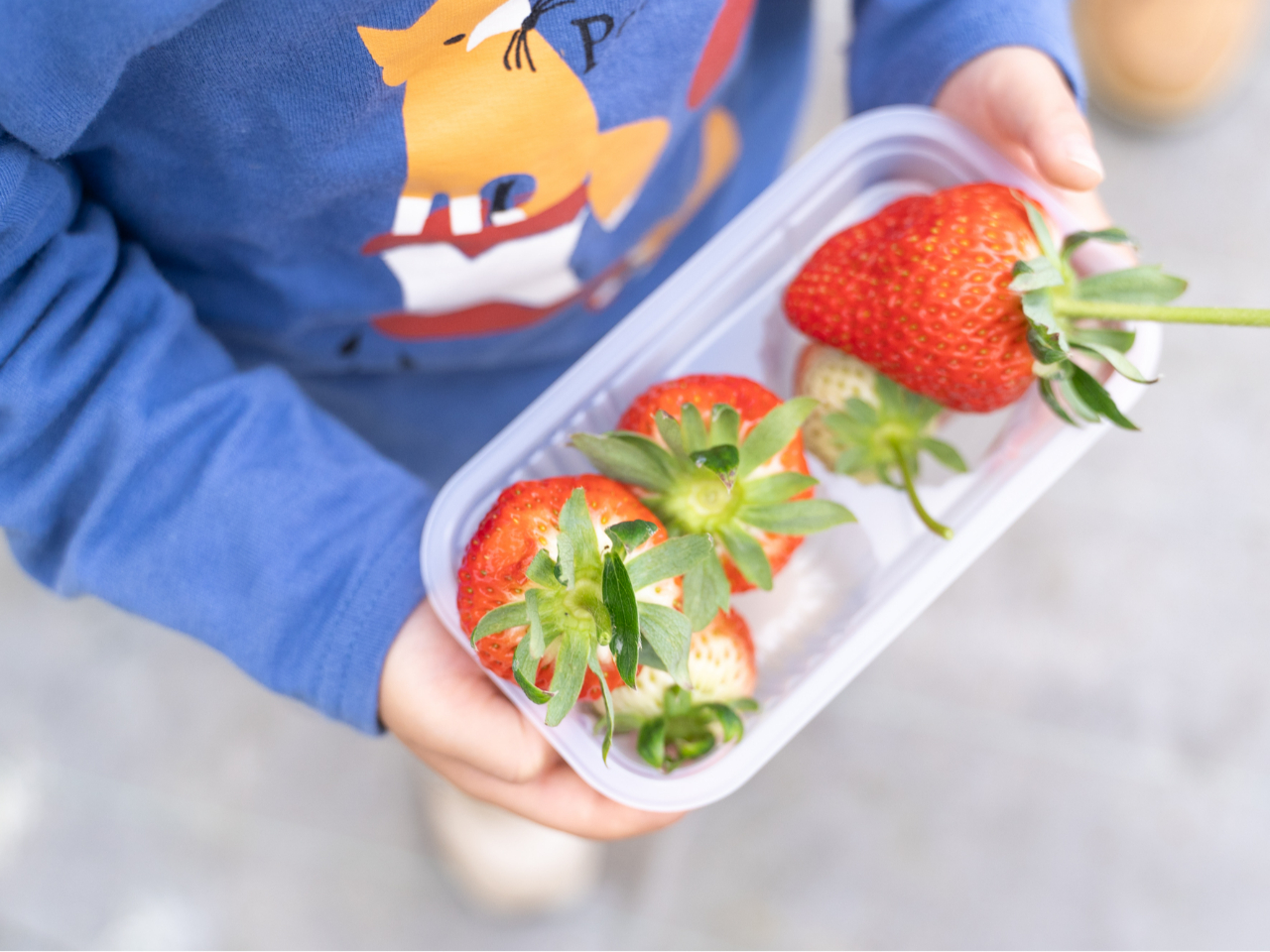 p̃Jbvn܂邱Ƃł܂͎݂w\ł^o^