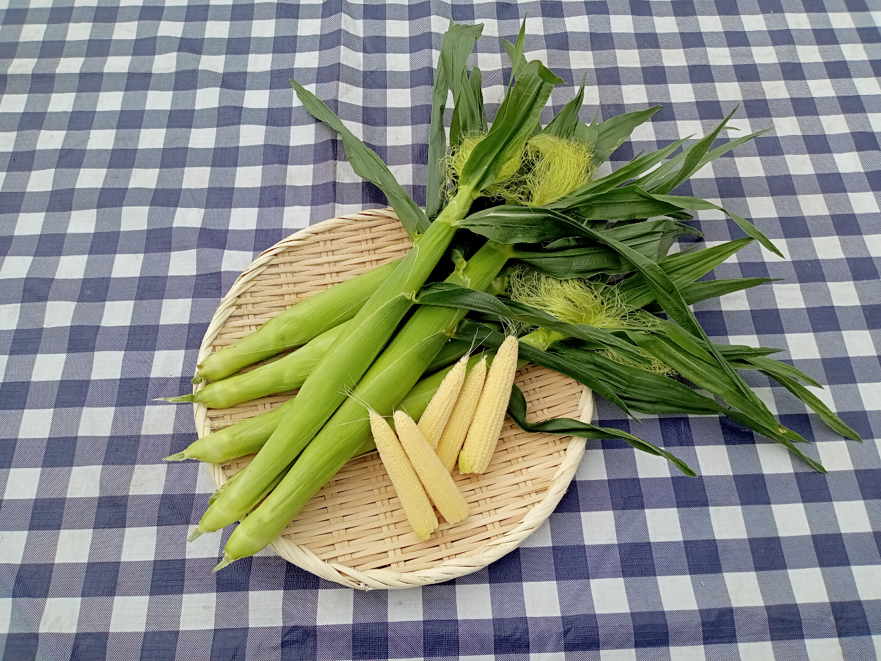 OR[̓XC[gR[̏ĒmĂ܂H