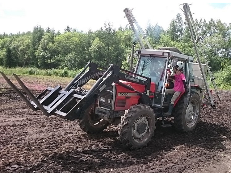 ^gN^[^]̌i~n̂߁AƋsvłBX^btj