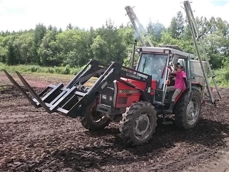 ^gN^[^]̌i~n̂߁AƋsvłBX^btj