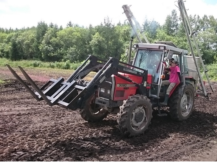 ^gN^[^]̌i~n̂߁AƋsvłBX^btj