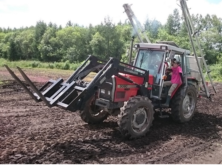 ^gN^[^]̌i~n̂߁AƋsvłBX^btj