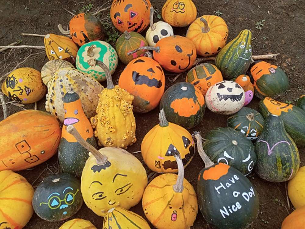 nEBڂAЂƂЂƂႢ܂B