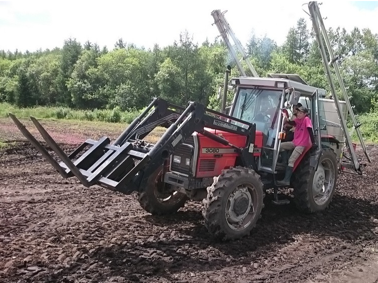 ^gN^[^]̌i~n̂߁AƋsvłBX^btj