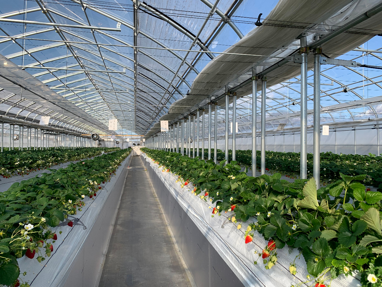 ܂܂y߂鍂ݍ͔|sĂ܂Bqlxr[J[̂qlSĂp\łI