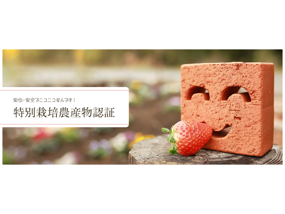 眠れぬ森　コケッツ　王子様　イチゴ　アナスイ Amazon.co.jp: いちごの王さま いちごの王様 ぬいぐるみ 苺