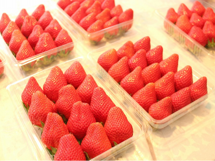 園内の店頭販売ではパックのいちごもご購入いただけます♪