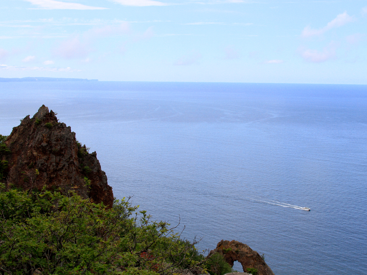 �L��Ȏ��R�𖞋i